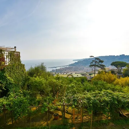 Sunplace Affittacamere 3*